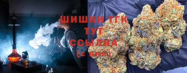 гидропоника Алзамай