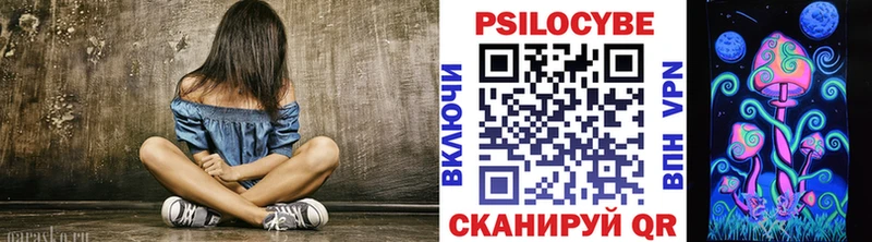 Галлюциногенные грибы Psilocybine cubensis  как найти закладки  Дмитриев 